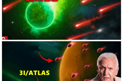 “👽CHILDREN OF THE COMET: NINE MINI WORLDS SPINNING AROUND 3I/ATLAS TERRORIZE SCIENCE⚠️” In a revelation that defies everything we know about interstellar objects, teams claim to have spotted nine smaller bodies orbiting 3I/ATLAS as it sweeps through our system—side by side, aligned, synchronized. The odds of a random breakup are vanishingly small. Some scientists now whisper the most alarming possibility: they’re escorts. And Earth might be next.👇