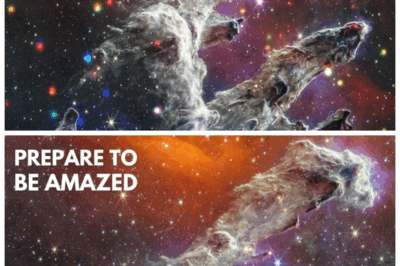 🐘NASA SHOCKS THE WORLD🌌 Releasing 20 Never-Before-Seen Images That Rewrite Everything We Thought We Knew About Space — Gigantic Structures, Impossible Shadows & A Celestial Mystery They Claim Is “Perfectly Normal. Sure.”  Scientists and conspiracy hunters alike are losing their minds as NASA drops a stunning set of images revealing colossal distortions, bizarre formations and cosmic secrets they quietly sat on for years, igniting global speculation about what they were too afraid to say out loud👇