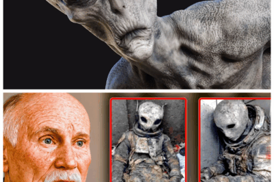 “Alec Newald’s Shocking Confession: ‘I Was Abducted By Aliens For 10 Days—And I Have Proof!’ 👽” The world is reeling as Alec Newald, a man who claims to have been abducted by extraterrestrials for 10 days, presents undeniable proof of his otherworldly experience. What he’s revealing will send chills down your spine. For years, he’s been silent—but now, Newald is ready to expose the truth about his harrowing journey. What did he see? What did he learn? And why has this been covered up for so long? The truth is finally coming out, and it’s stranger than we could have imagined.👇