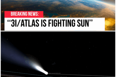 😱 When Comets Conspire: 3I/Atlas and Friends Throw Shade at the Sun! 😱 – HTT