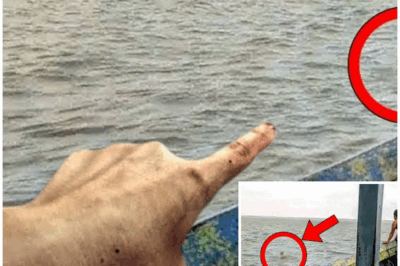 😱 Fishermen Turn Pale When They See This Appear In The Middle Of Ocean 😱 – HTT