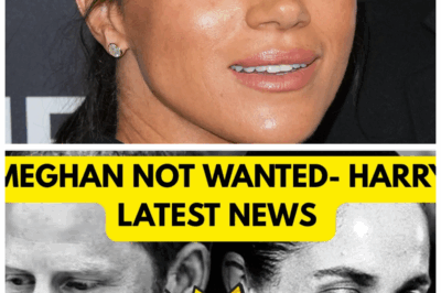 🐘 “Harry’s Latest Controversy: DISASTER DUKE Turns Tragedy into Treasure! 💎” “When life gives you lemons, make a fortune!” In an astonishing turn of events, Harry, the infamous Disaster Duke, has found a way to cash in on calamity once again. As the world watches in disbelief, his latest venture has sparked outrage, with many questioning the ethics behind profiting from misfortune. But for Harry, it’s all in a day’s work as he rakes in the dough while leaving a trail of chaos in his wake. Is this the ultimate betrayal of public trust, or is he simply playing the game better than anyone else? The stakes have never been higher! 👇