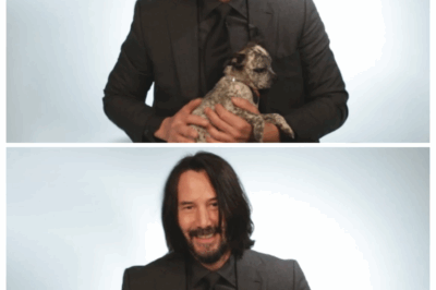 Keanu Reeves Plays With Puppies While Answering Fan Questions