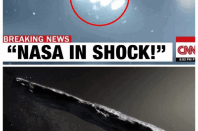3I/ATLAS Just Sent THIS Transmission — And It CONFIRMS Our Worst Fears