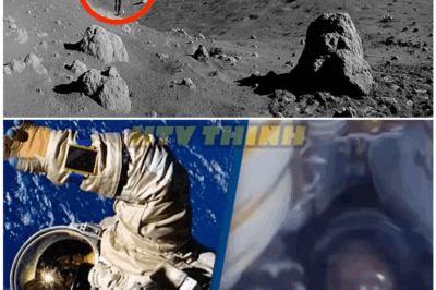 🦊 “The Scariest, Most Terrifying Things NASA Astronauts Have Ever Said About Space—And What They Revealed Will Leave You Frozen With Fear” 🌌