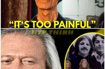 🦊 “Whispers, Rivalry, and the Day the Music Stopped — The Untold Story of the Song Robin Refused and the Heartbreak That Shattered the Gibb Brothers Forever 🎤😱”