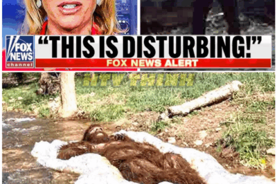 🦊 “NEAR-DEATH ON THE MOUNTAIN: Mireya Mayor’s TERRIFYING Discovery During Expedition Bigfoot Leaves Crew in Absolute Panic 🌲😱”