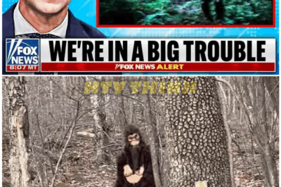 🦊 1-MINUTE-OLD SHOCKER: FINDING BIGFOOT TEAM ON THE RUN AFTER UNEXPECTED EVENT THAT LEFT FANS AND EXPERTS REELING 🐾