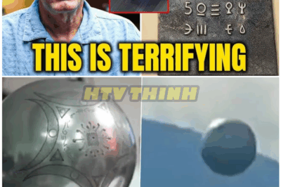 🦊 Expert Just Released a Shocking Update on the Buga Alien Sphere — What They Revealed Could Rewrite Human History, Terrify Governments, and Expose Secrets They Swore We’d Never See 👽