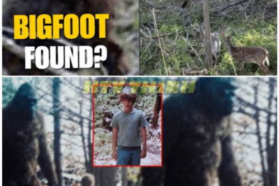 🦊 BREAKING: 6-Year-Old Girl’s Shocking Story Sends Investigators Into the Woods — The “Gentle Hairy Man” She Describes Sounds NOTHING Like a Myth 🐾🌌