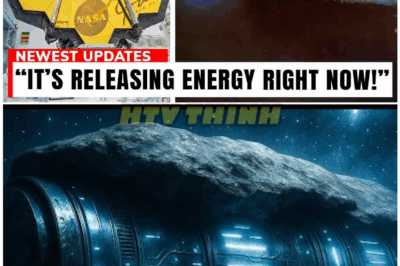 🦊 “COSMIC REVELATION: Webb’s Data UNLOCKED 3I/ATLAS’ Mystery — What It Revealed Is Beyond Human Understanding 🌌🔥”