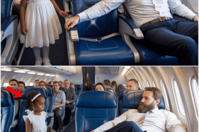 Black Billionaire Girl Seat Stolen by White Passenger — Seconds Later, Flight Is Grounded