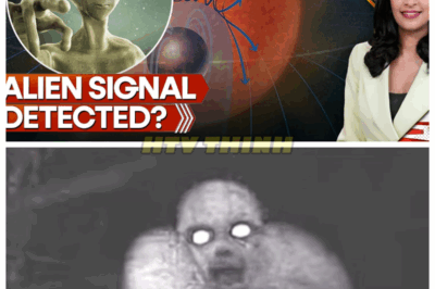 🙊”Astronomers Left Speechless: Mysterious Radio Signal from 3I/ATLAS Sparks Alien Theories! 👽” In a jaw-dropping revelation, astronomers have detected a powerful radio signal emanating from the enigmatic 3I/ATLAS, sending shockwaves through the scientific community. Could this be the first sign of extraterrestrial intelligence? As researchers scramble to decode the message, the implications are staggering. What if we are not alone in the universe? With every passing moment, the excitement and anxiety grow—what secrets does this cosmic signal hold? The clock is ticking, and the universe may be trying to communicate with us! 👇