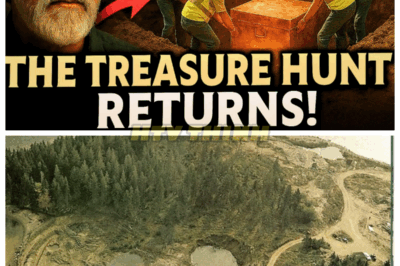 🙊”Oak Island’s Newest Discoveries: The Shocking Truth Finally Revealed! 🔍” After years of speculation and intrigue, shocking new discoveries have emerged from Oak Island that could finally reveal the truth behind its mysteries. What if the legendary treasure is closer than we ever thought? As teams of dedicated explorers unearth evidence that points to a deeper story, the excitement and tension mount. Could this be the moment that changes everything? The world is on the edge of its seat, waiting for the next revelation! 👇