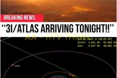 🧿 It’s Getting Closer — 3I/ATLAS Might Be Carrying More Than Rock and Ice ☄️👁️Tick… Tick… Tick — Scientists Admit There’s Something Alive Inside 3I/ATLAS