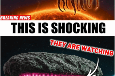 SHOCKING DISCOVERY: New 3I/ATLAS Images Reveal a Hidden Message in the Core — Scientists Detect Perfect Geometric Patterns, and Elon Musk Warns: ‘It’s Trying to Communicate!’