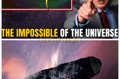 🙊”3IATLAS UPDATE: The Secrets of Blue Light and Mysterious Chemistry Exposed—Prepare for Cosmic Surprises! 🔭✨” In a captivating new update, the 3IATLAS project sheds light on the interplay of blue light and mysterious chemistry, hinting at buried cosmic secrets. What astonishing insights await us, and how will they reshape our understanding of the universe? Join the journey into the depths of space and science! 👇