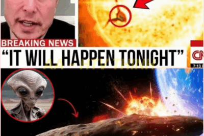 🧿 Sun Apocalypse Imminent: NASA Claims It’s Fine, But Musk’s Warning is Far More Terrifying! 🔥 Two Weeks to Extinction?! Experts Panic as the Sun Shocks with Catastrophic ‘Cracking’ Events!