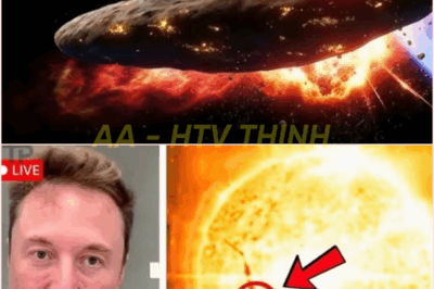 🧿 The Sun is Cracking Open?! Experts Say We’re Doomed—But Will Elon Musk Save Us in Time? 🌑 Two Weeks to Extinction?! Experts Panic as the Sun Shocks with Catastrophic ‘Cracking’ Events!