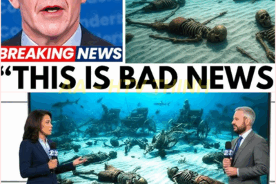 🧿 Pharaoh’s Lost Army Found Beneath the Red Sea?! Divers Reveal Shocking Discovery That Could Rewrite History! 🏺