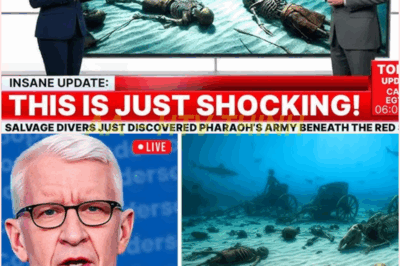 🧿 Divers Stumble Upon the Pharaoh’s Lost Army Beneath the Red Sea—Will This Destroy Everything We Know About Ancient Egypt? 🏺🔎