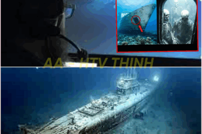 🧿 USS Hornet Found After 77 Years—But What the Drone Discovered 17,000 Feet Below Will Haunt You!🚢