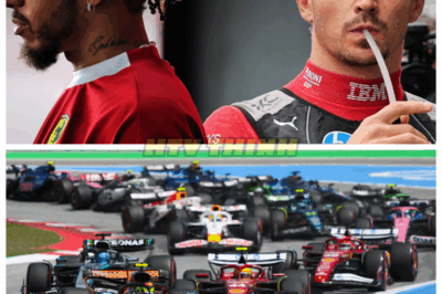 🙊FERRARI IN TURMOIL: President’s EXPLOSIVE Comments on F1 Drivers UNPACKED! 🚨 Can They Recover? In a dramatic outburst, the Ferrari president has taken aim at his F1 drivers, sparking intense debate among fans and experts alike. What led to this explosive critique, and what does it mean for the team’s future? As pressure mounts, will the drivers step up and turn things around, or is this the beginning of a downward spiral for Ferrari? The tension is palpable as the racing season unfolds! 👇