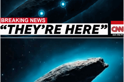 BREAKING: Mars Rover’s First Close-Up of 3I/ATLAS Stuns the World — Elon Musk Warns, “It’s Not a Comet… It’s Something We’ve Never Seen Before.”