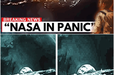 Voyager 2 just made an IMPOSSIBLE Encounter at the Edge of the Solar System