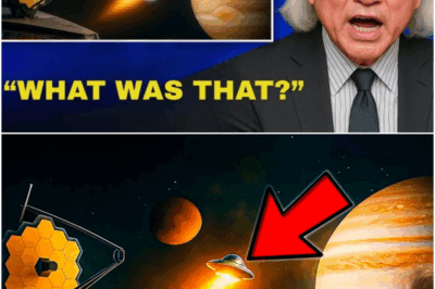 Something crossed between Mars and Jupiter… And JWST captured it ALL
