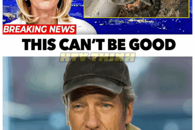 🙊 “You Won’t Believe What Was Discovered in Mike Rowe’s Bathroom—The Truth Is Wild!”😿 When investigators took a peek inside Mike Rowe’s bathroom, they stumbled upon a shocking assortment of items that have left fans buzzing. What hidden treasures or strange artifacts did they uncover? As the story unfolds, the revelations about this beloved personality are not just shocking but also deeply revealing. Get ready for a wild ride into the unexpected! 👇