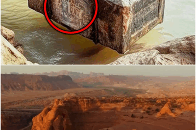 What Scientists Just Discovered At The Grand Canyon TERRIFIES The Whole World