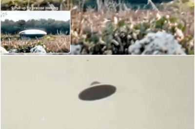 Clearest UFO Footage and UAP Crashes! Is ET Already Among Us?