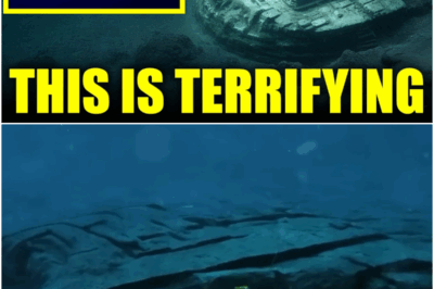 Baltic Sea Anomaly Was Just Scanned by An AI – And It Revealed Something Not Human