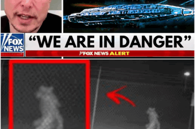 Elon Musk: “Oumuamua Has Suddenly Returned and It’s Not Alone”