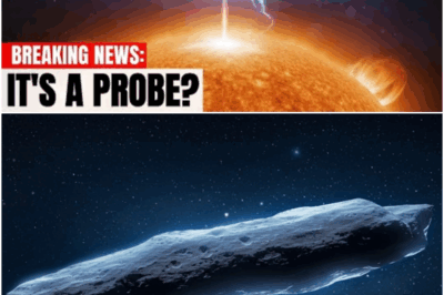 3I/ATLAS: THEY FOUND ANOTHER ONE.