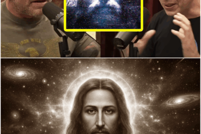 Scientist Found Proof of God in The Universe | Joe Rogan