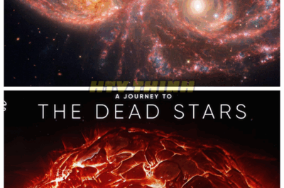 🙊 “Celestial Chronicles: Are Stars the Guardians of Our Cosmic Fate? 🌌🔮” Every star in the universe holds a unique story, a chronicle of creation and destruction that shapes the cosmos. This mesmerizing documentary invites viewers to explore the intricate life of stars, revealing their role as guardians of cosmic fate. What if the life cycles of these celestial beings are not just random events, but crucial elements in the grand design of the universe? As we witness the birth of stars and their dramatic deaths, we uncover the psychological connections that link us to these distant giants. Are we ready to embrace the idea that our destinies are intertwined with the lives of stars? 👇