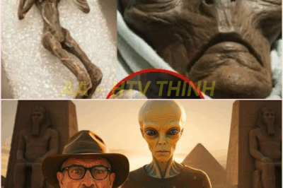 🧿 An Alien Revealed How the Anunnaki Created Egypt—The Truth About the Pyramids Will Shock You! 👽⛩️