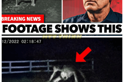 🙊 “Ex-Guard Reveals Chilling Secrets of Skinwalker Ranch After Midnight: What You Won’t Believe!” 🌌😱 What if the mysteries of Skinwalker Ranch are darker than we ever imagined? An ex-guard has come forward to expose the shocking truths about what really happens after midnight on this infamous property. What eerie events and unexplainable phenomena did he witness that will leave you questioning reality? Join us as we delve into the spine-tingling revelations from the depths of Skinwalker Ranch! 👇