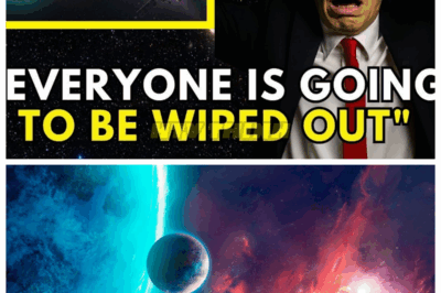 🙊 “The Countdown Begins: 3I/ATLAS May Strike Mars Soon—Harvard & NASA Warn!” ⏳🚨 Could we be on the brink of a historic event? Scientists at Harvard and NASA have alerted us to the potential impact of 3I/ATLAS on Mars. What are the scientific implications of this impending strike, and how might it affect our understanding of planetary defense? Tune in with Brian Cox as we uncover the truth behind this urgent warning! 👇