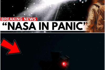 Voyager 2 Sent This Transmission and JUST WARNED THE WORLD