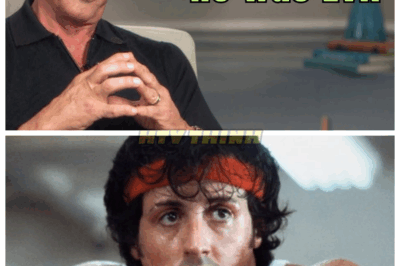 🙊 “5 Celebrities Sylvester Stallone HATED: The Feuds That Shocked Hollywood! 🚫⭐” From bitter rivalries to explosive confrontations, discover the five celebrities that Sylvester Stallone openly hated! What shocking incidents led to these famous clashes, and how did they shape his legacy? Prepare for some surprising revelations! 👇