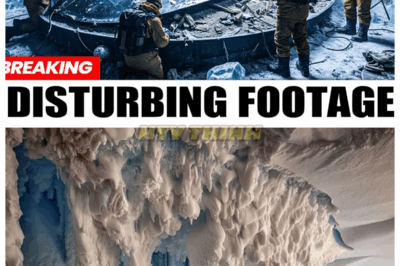 🙊 “Mystery in Antarctica: They Opened a Hidden Chamber, and What They Found Is OUT OF THIS WORLD! 🌍🧊” In a groundbreaking exploration, a hidden chamber in Antarctica has been opened, revealing astonishing findings that seem impossible! What secrets does this icy vault hold? Discover the shocking details! 👇