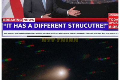 🙊 “Amateur Astronomer’s 3I/ATLAS Photo EXPOSES NASA’s Oversights! What Did They Miss? 🌌👀” In a remarkable turn of events, an amateur astronomer’s 3I/ATLAS photo reveals astonishing findings that NASA has not captured! What incredible details could change our understanding of the cosmos? Discover the truth! 👇