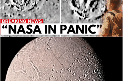 Voyager 1 Reached the Other Side… And ACHIEVES THE IMPOSSIBLE