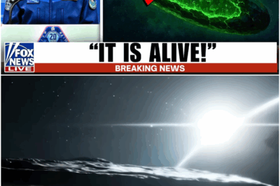 What Chinese Telescope Found on 3I/ATLAS Will Leave You Speechless..