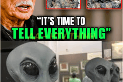 🧿 Abducted by Aliens for 10 Days? Alec Newald Reveals Terrifying Details—and The Evidence Will Shock You! 😱👁️