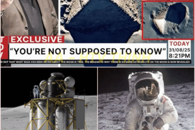 🧿  What Really Happened When We Left? New Evidence Reveals Why Humanity Never Returned—and It’s Terrifying! 👽💥