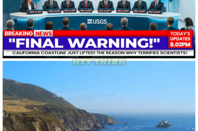 🙊 “Coastal Uplift in California: Scientists Issue Urgent Warnings!”😢 A dramatic geological event has caused the California coastline to rise, prompting immediate concerns from scientists. What does this unusual occurrence mean for the future of the area? Explore the urgent warnings and potential dangers ahead! 👇